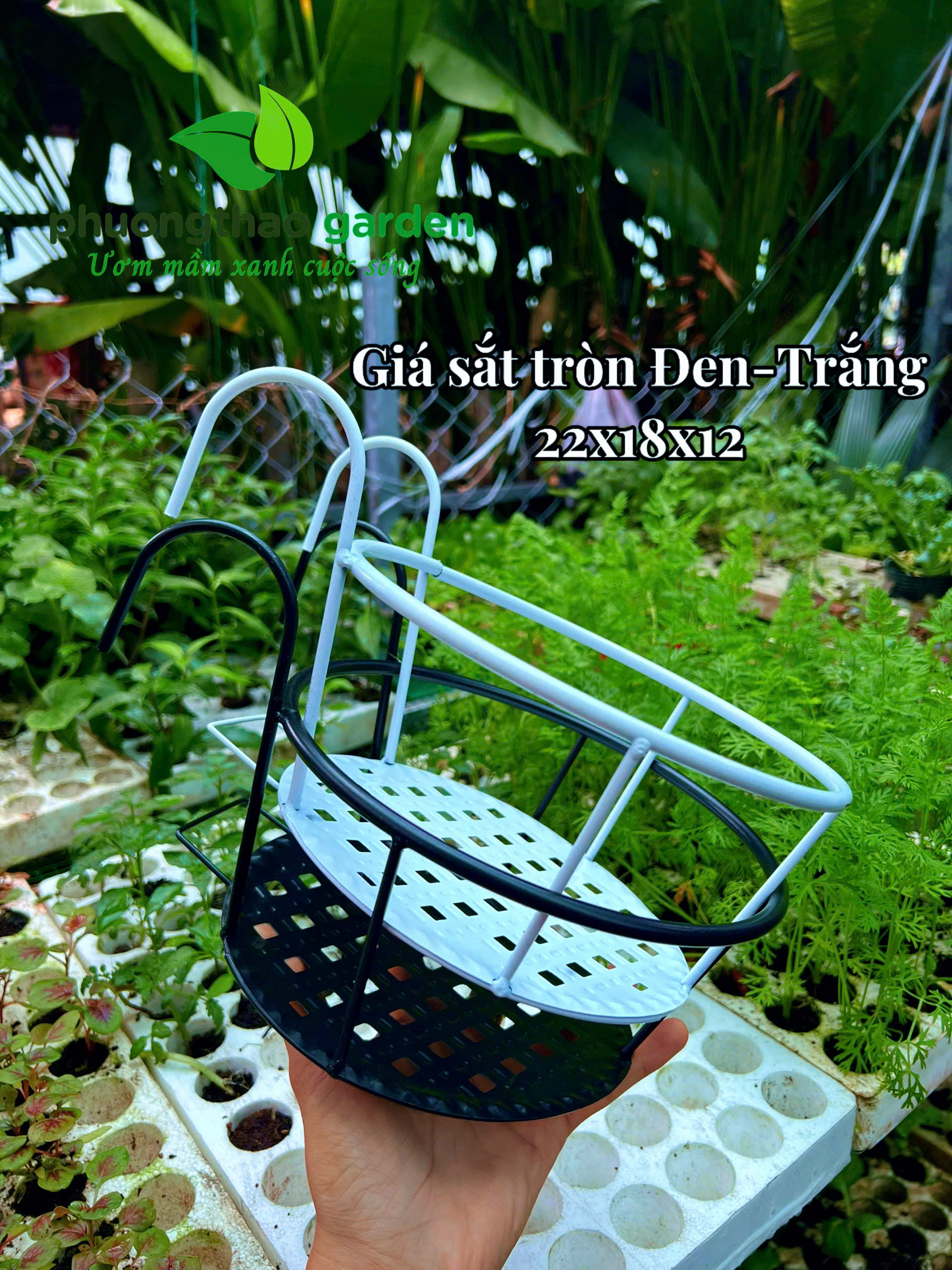 Giá Sắt Tròn 22*18*12