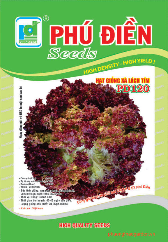 Hạt Giống Xà Lách Tím PD 120