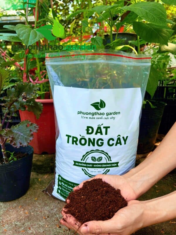 Trồng rau tại nhà cần loại đất nào? Cách chọn và trộn đất đúng cách