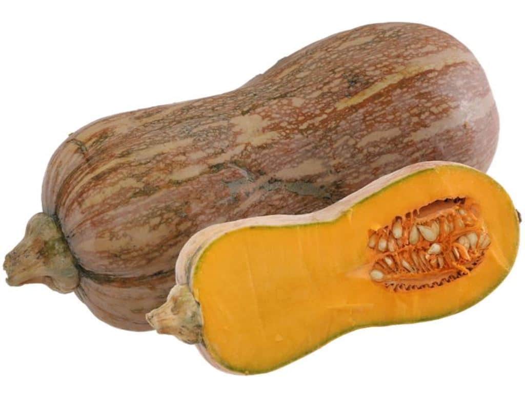 Kỹ thuật trồng bí đỏ năng suất cao, trái to và ngọt