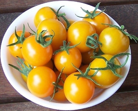 Cách Trồng Cà Chua Cherry Vàng: Hướng Dẫn Chi Tiết Cho Người Mới Bắt Đầu