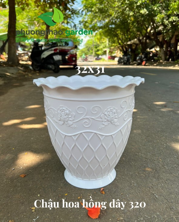 Chậu hoa hồng dây 320