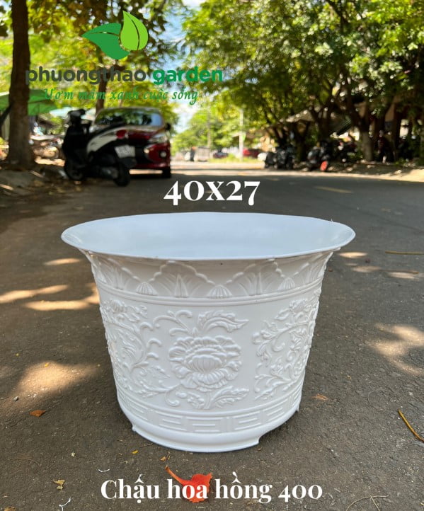 Chậu hoa hồng 400