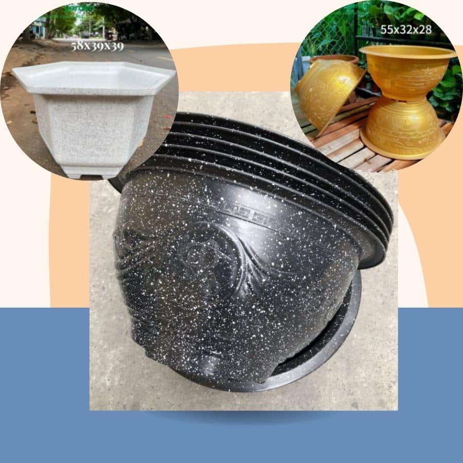 Chậu Hoa – Giải Pháp Trang Trí & Trồng Hoa Đẹp Cho Ban Công, Sân Vườn