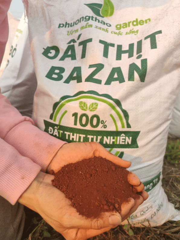 Đất Thịt Bazan Là Gì? Đặc Điểm & Nguồn Gốc Của Đất Bazan