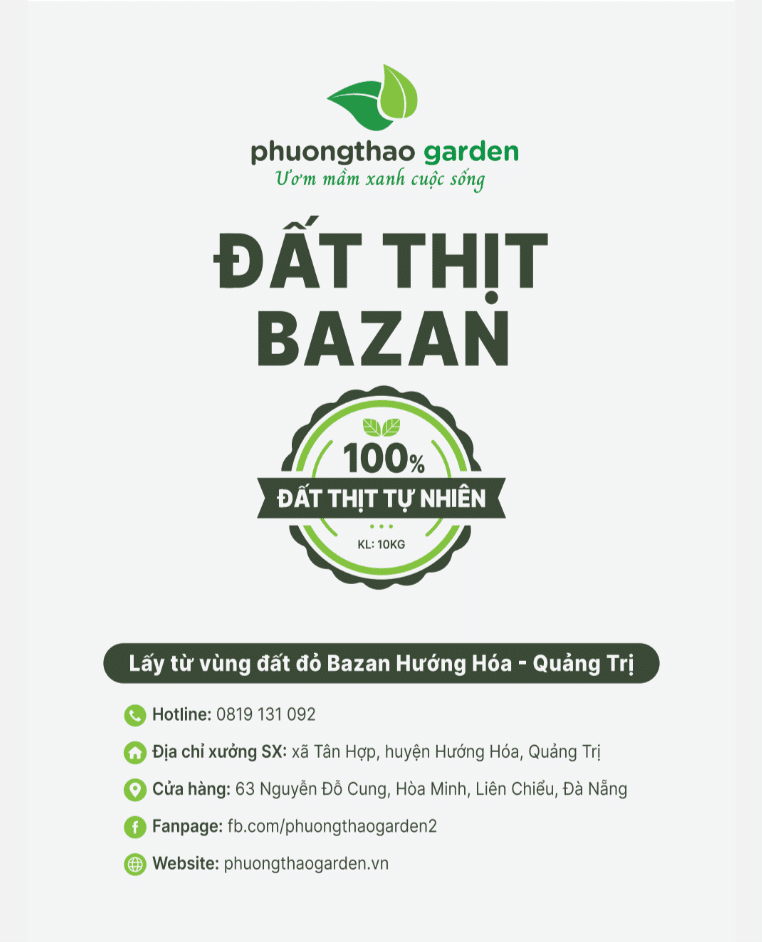 Đất Thịt Bazan Trồng Cây Có Tốt Không? Phân Tích Từ A đến Z Trước Khi Sử Dụng