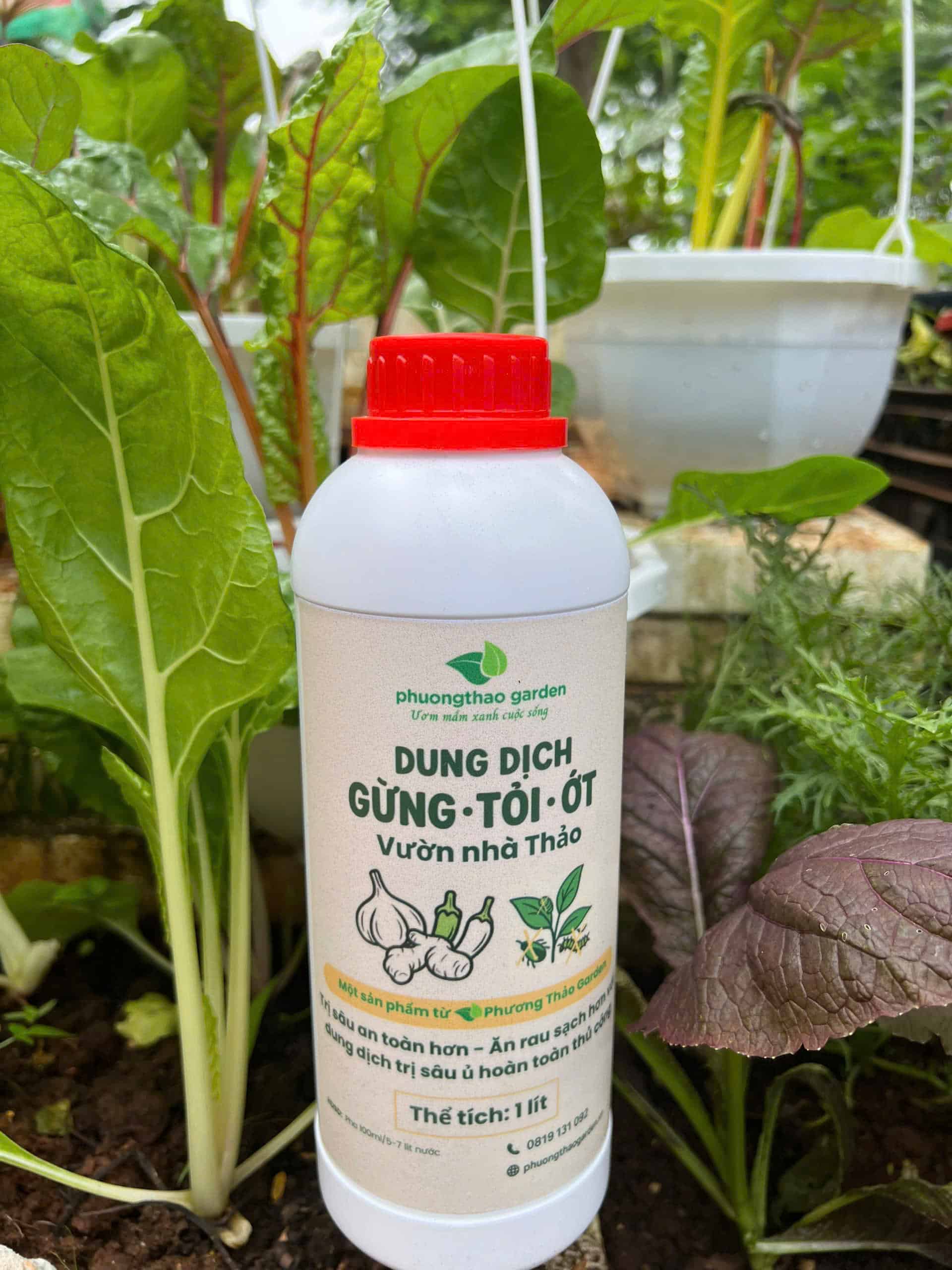 Dung dịch gừng tỏi ớt  Vườn nhà thảo