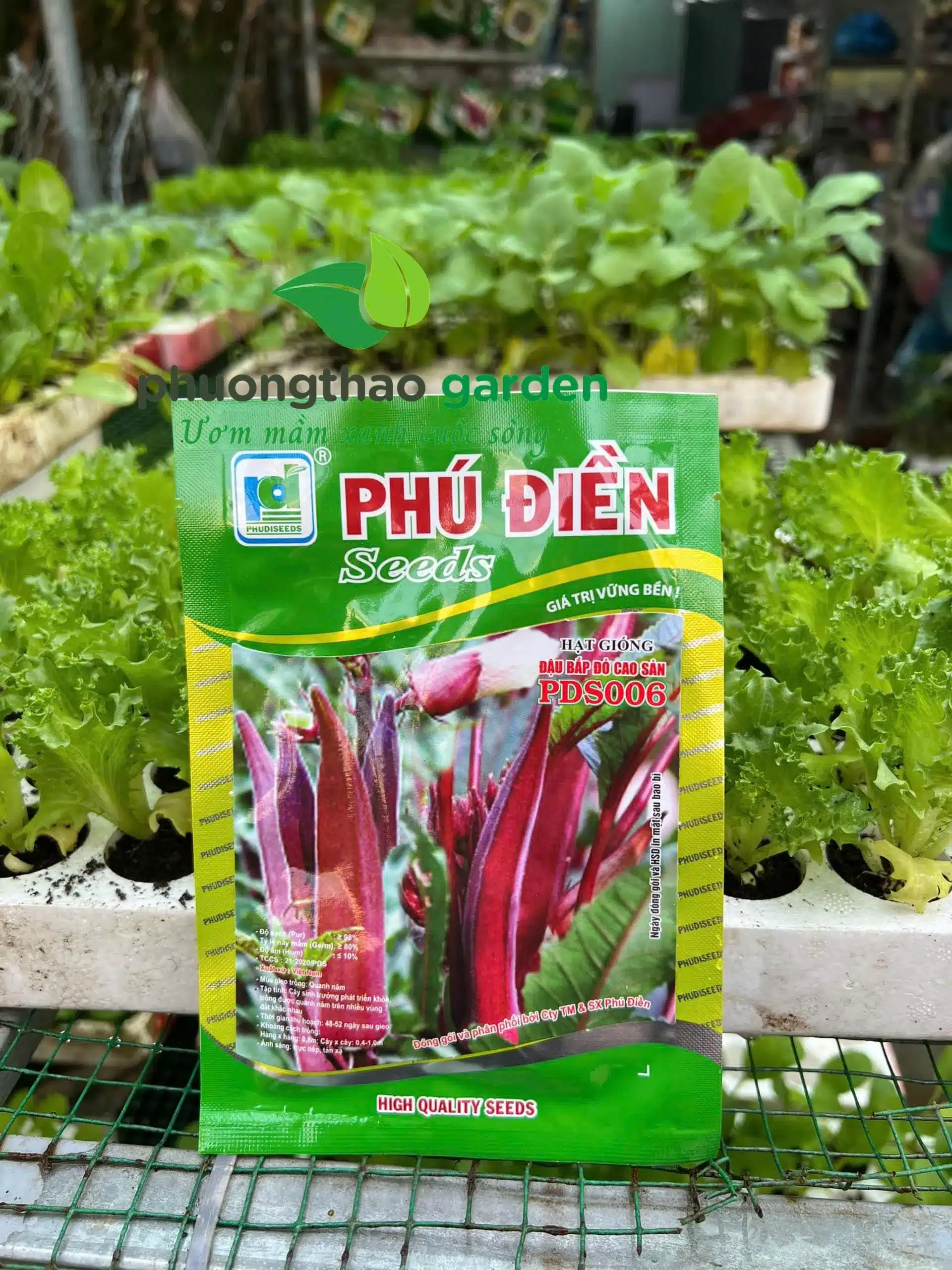 Hạt giống đậu bắp đỏ cao sản PD S006