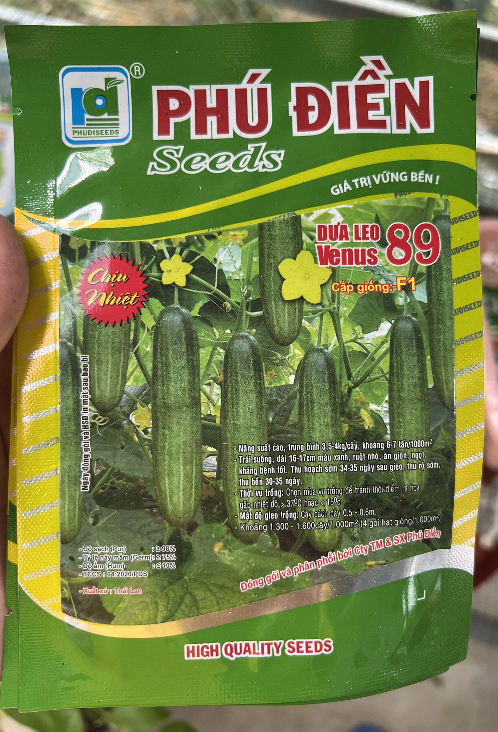 Hạt giống dưa leo Venus 89