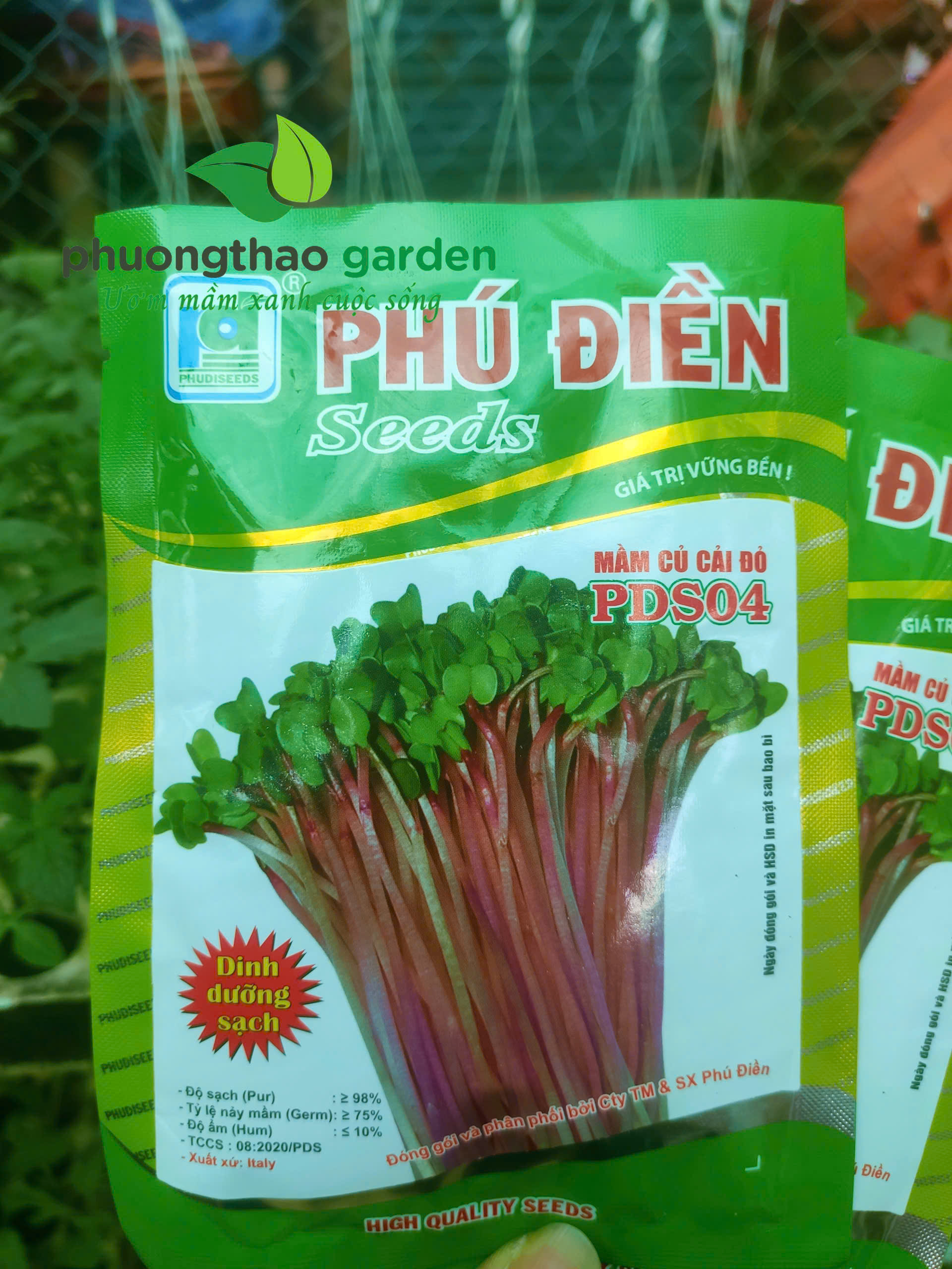 Hạt giống mầm củ cải đỏ PDS04