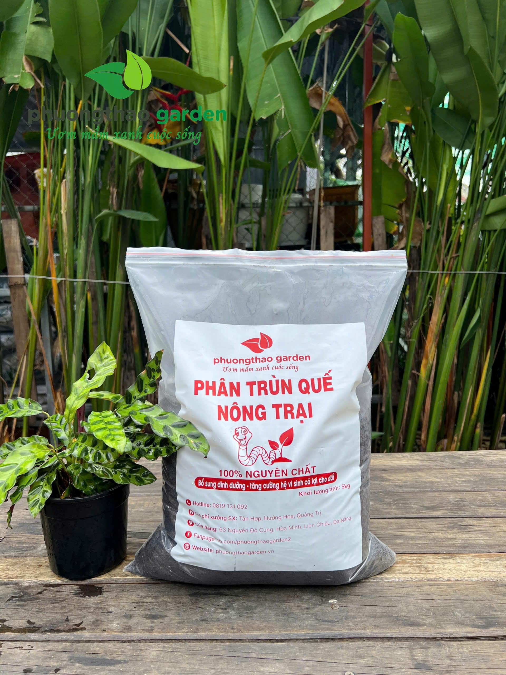 Phân Trùn Quế Nông Trại