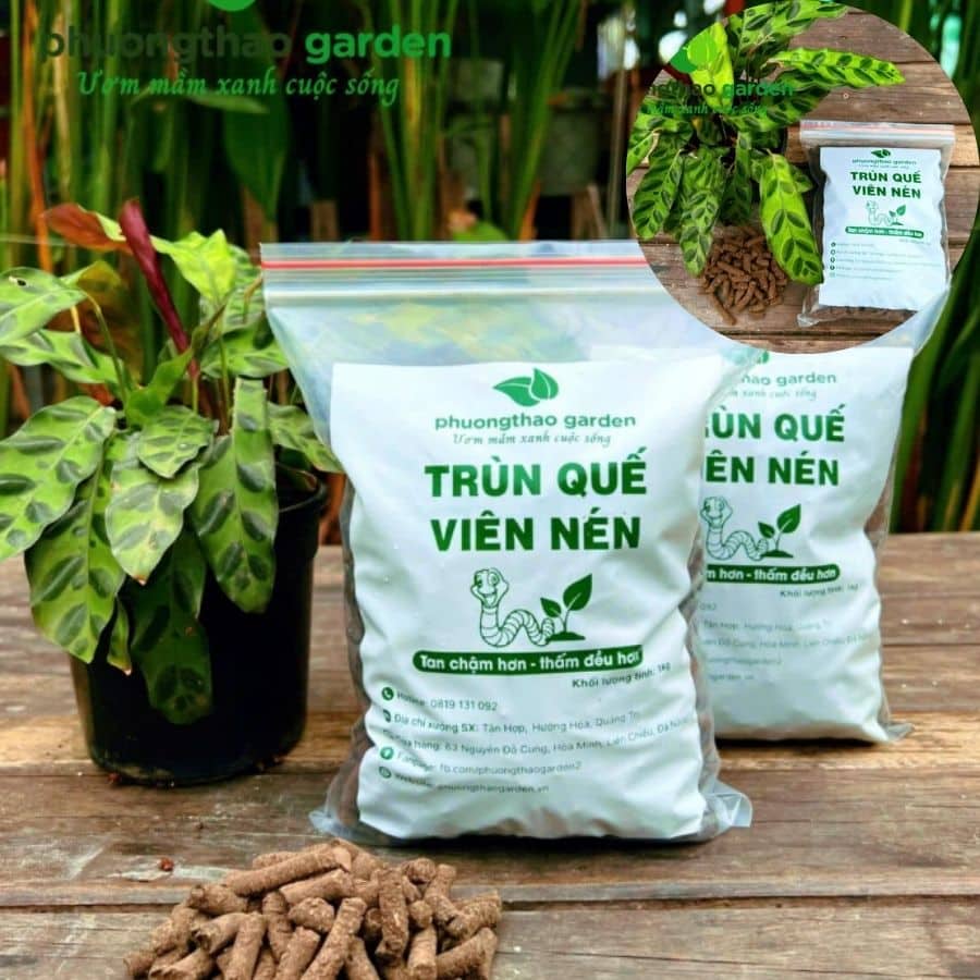 Phân Trùn Quế Viên Nén – Giải Pháp Phân Bón Hữu Cơ Tiện Lợi & Hiệu Quả Cao