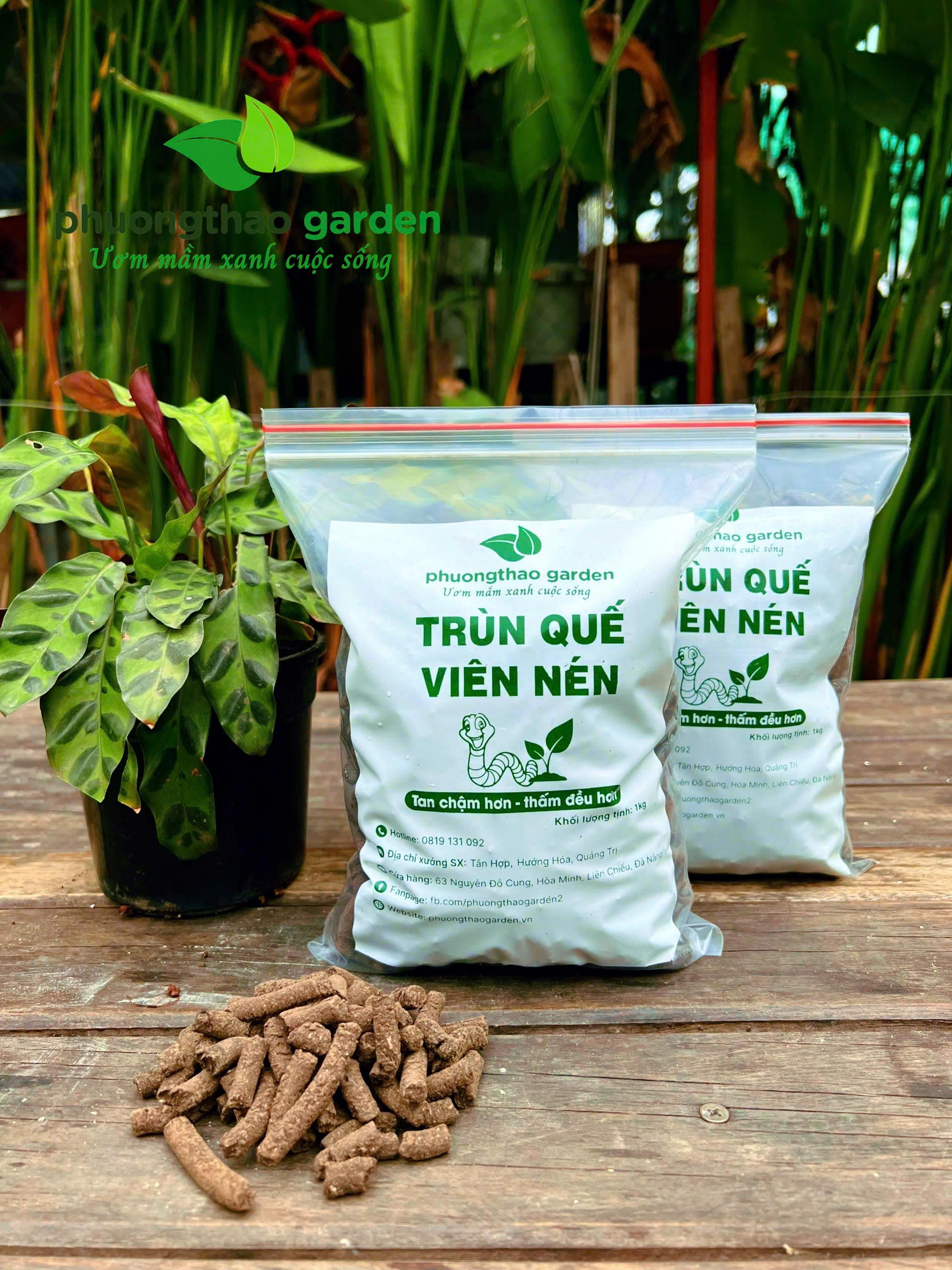 Phân Trùn Quế Viên Nén