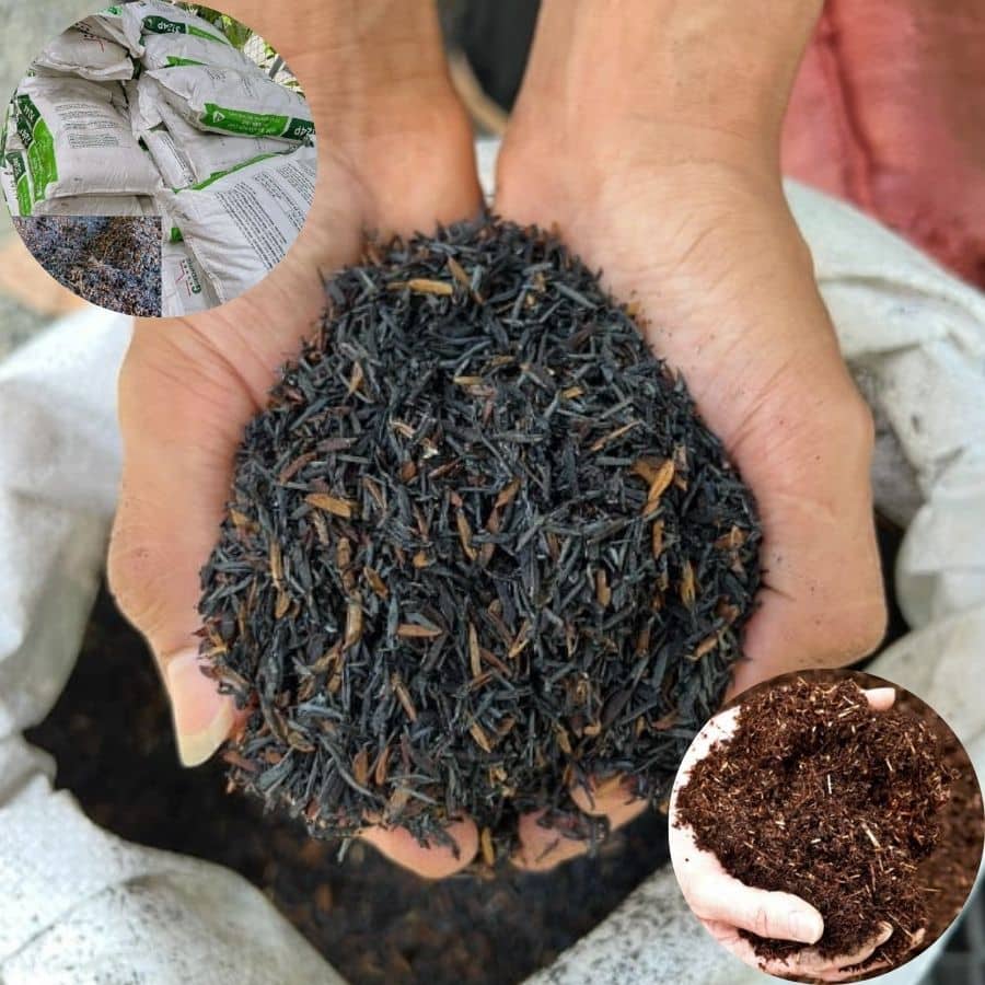 Trấu Hun – Vật Liệu Cải Tạo Đất Không Thể Thiếu