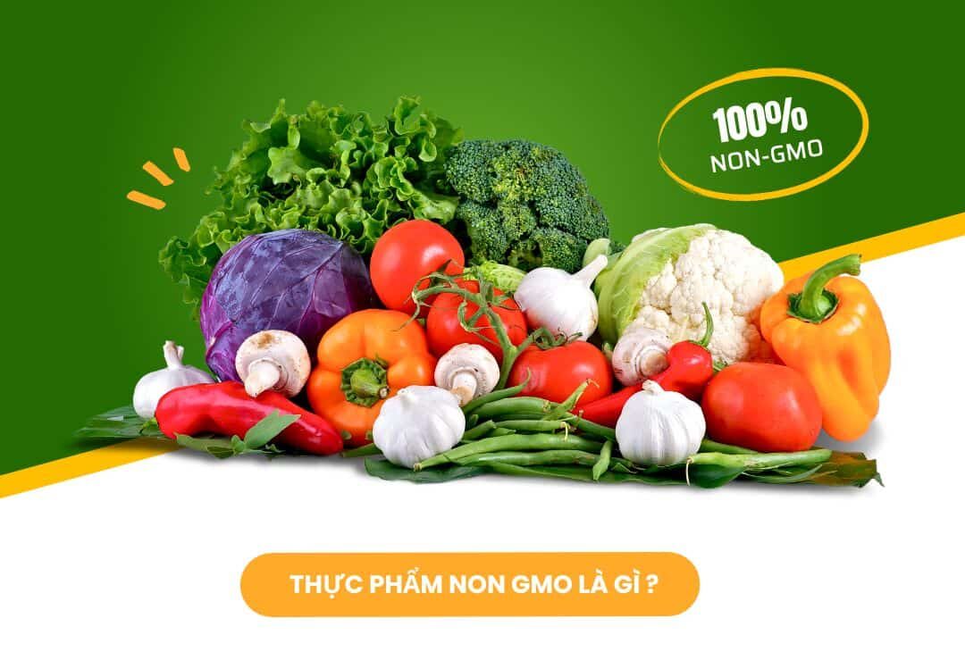 Thực phẩm Non GMO là gì? Tìm hiểu và lựa chọn
