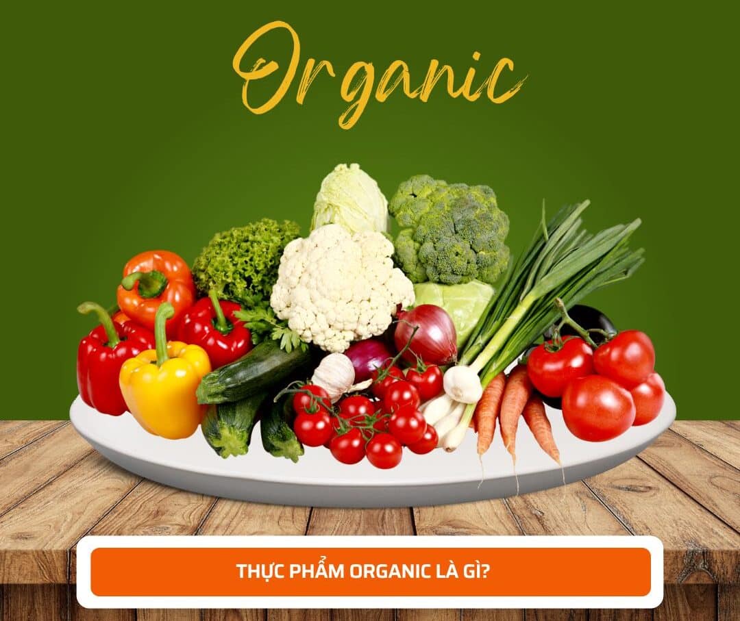 Thực phẩm organic là gì? Lợi ích và cách phân biệt thực phẩm hữu cơ