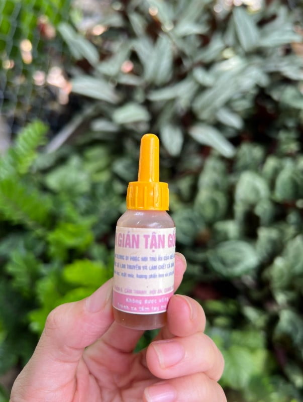 Dụng Cụ - Vật Tư Nông Nghiệp