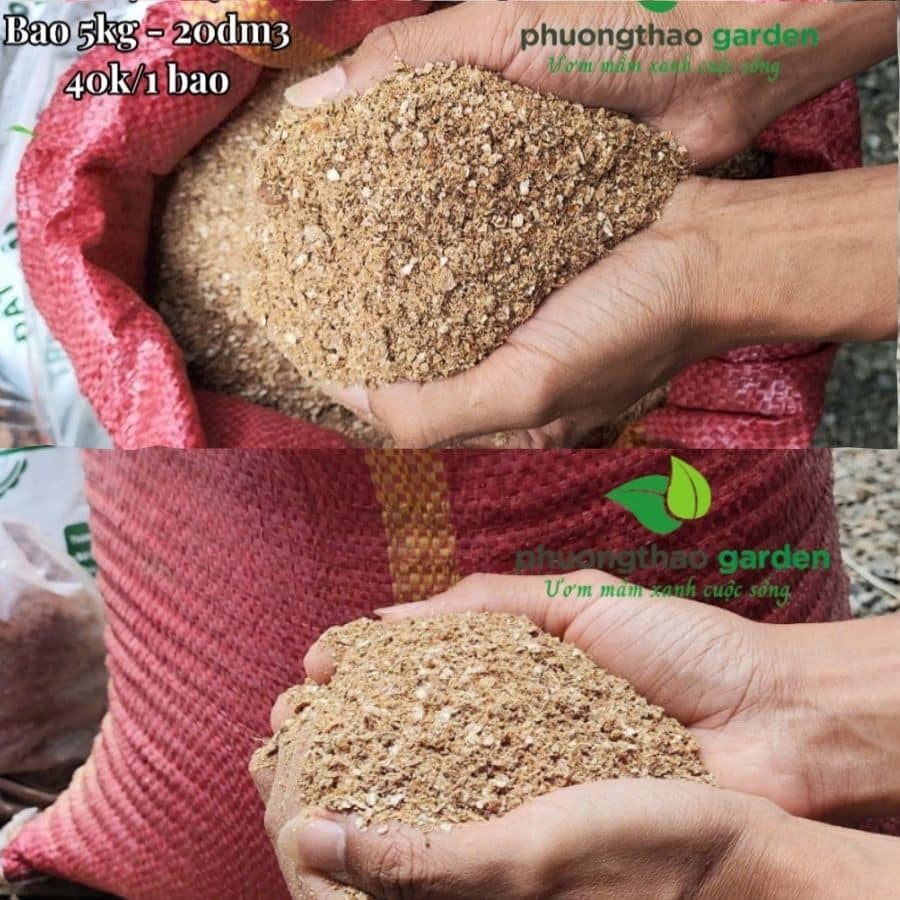 Vỏ Đậu Phộng – Vật Liệu Hữu Cơ Cải Tạo Đất Hiệu Quả Cho Cây Trồng