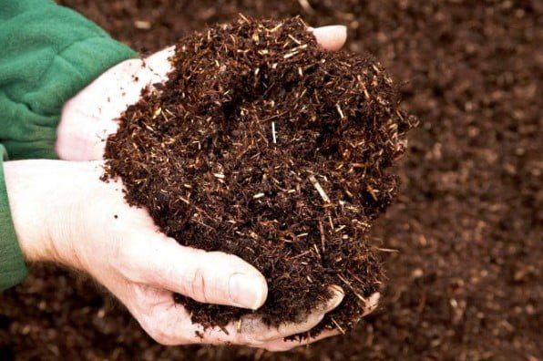 Trồng rau sạch bằng vỏ trấu: Cách đơn giản, tiết kiệm và an toàn