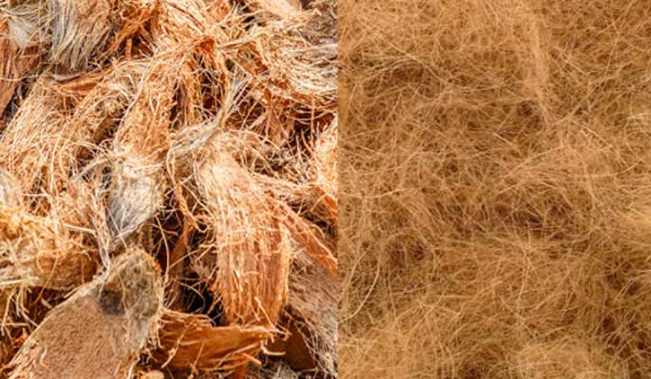 Mua xơ dừa trồng cây ở đâu? Khám phá Phương Thảo Garden