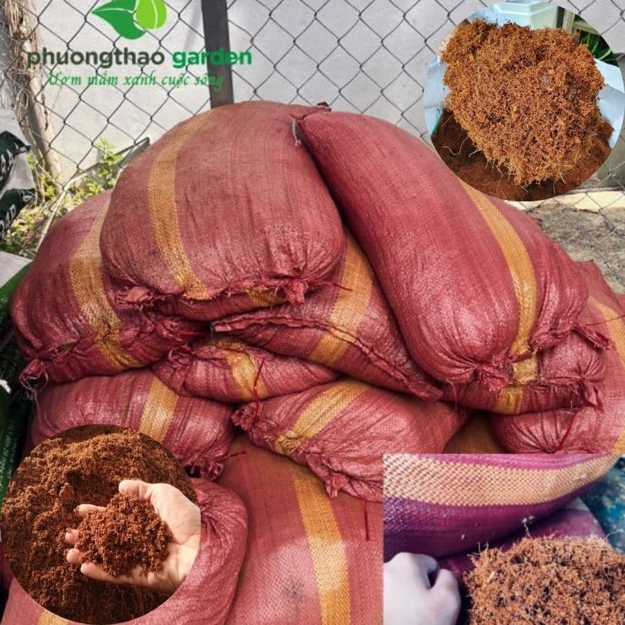 Xơ Dừa Trồng Cây – Vật Liệu Hữu Cơ Giữ Ẩm & Cải Tạo Đất Hiệu Quả