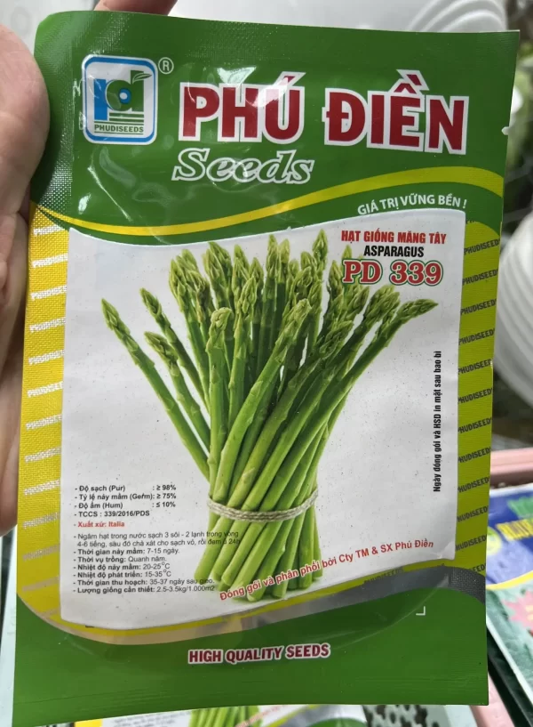 Hạt giống măng tây Asparagus PD 339