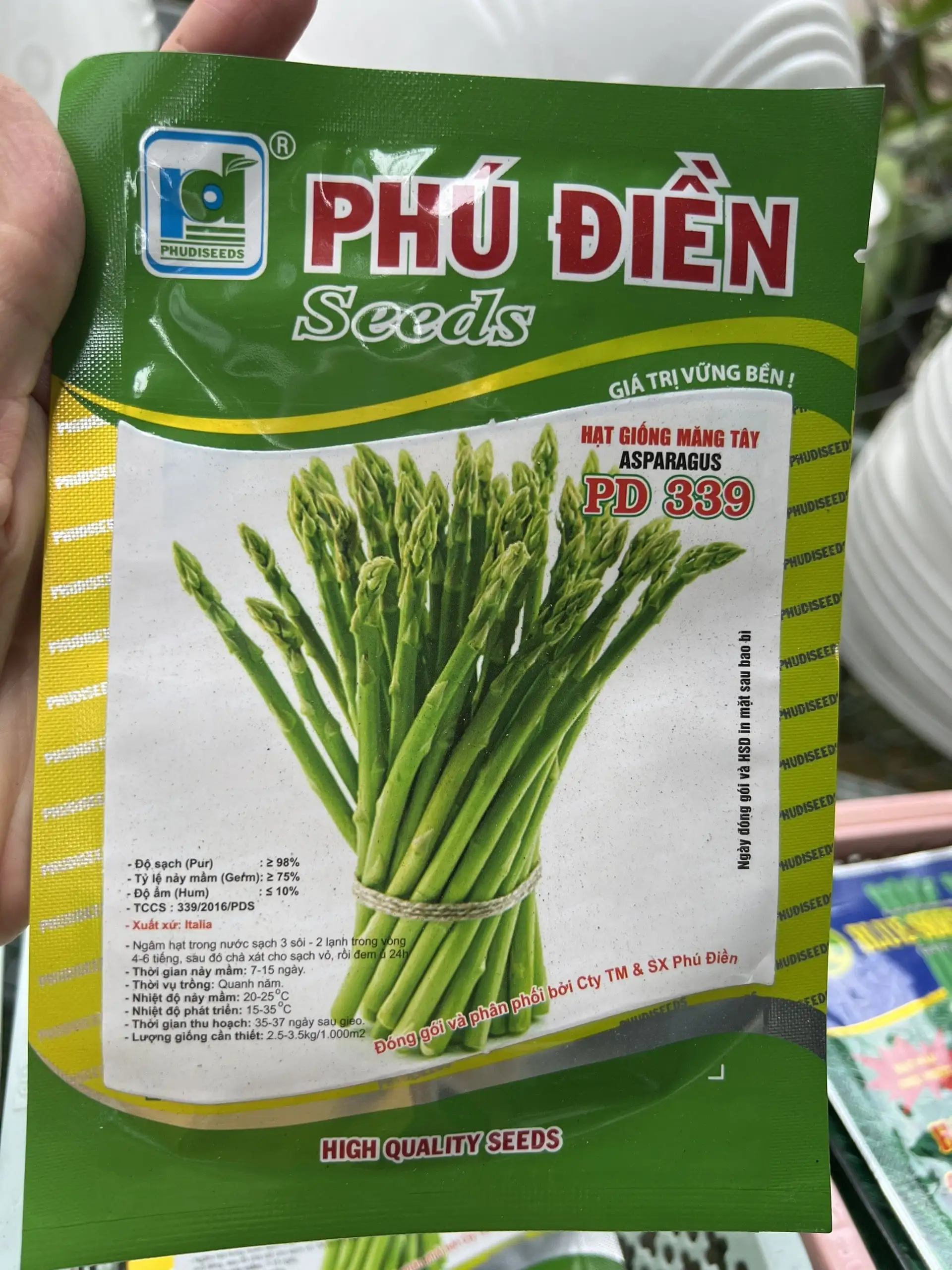 Hạt giống măng tây Asparagus PD 339