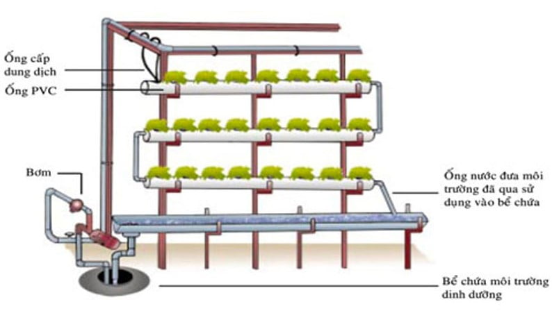 Cách trồng rau thủy canh bằng ống nhựa PVC