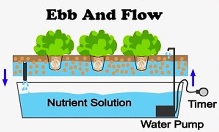 hệ thống thủy canh ebb and flow