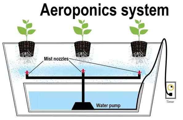 Trồng rau thủy canh aeroponic