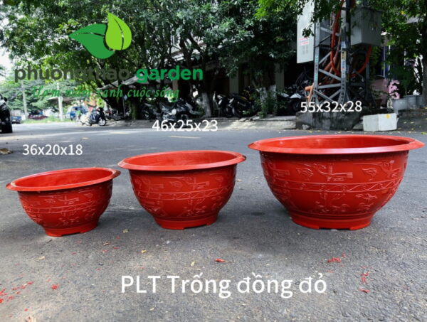 Chậu PLT trống đồng đỏ