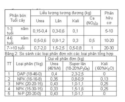 bảng liều lượng phân bón cho bưởi da xanh.