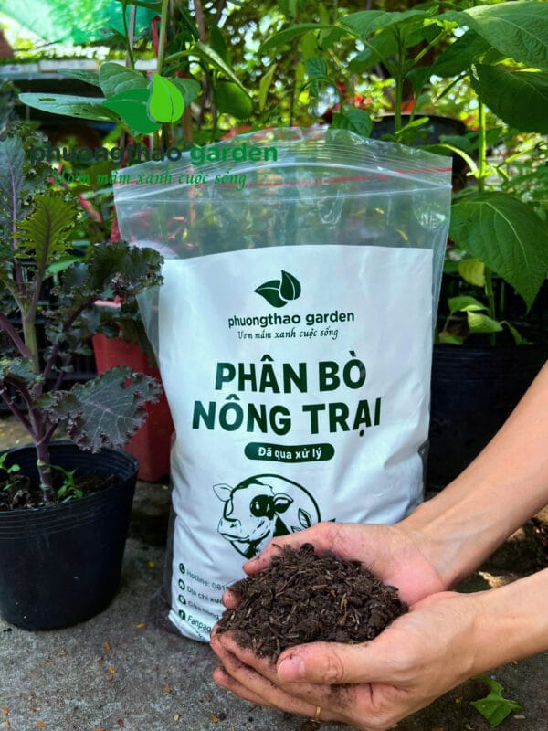 Phân bò nông trại 2kg