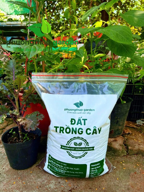 Đất Trồng Cây