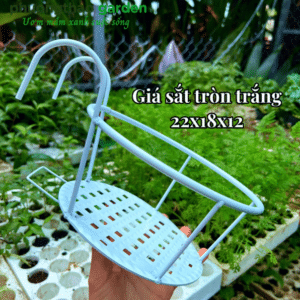 Giá sắt tròn trắng