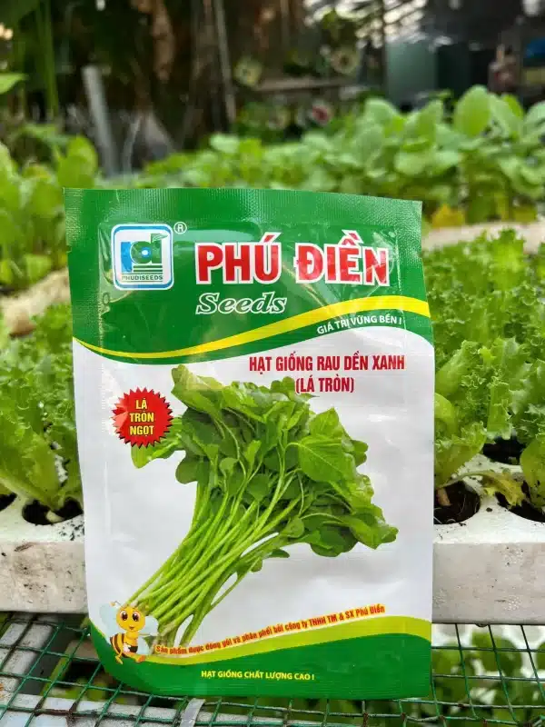 hạt giống rau dền xanh lá tròn