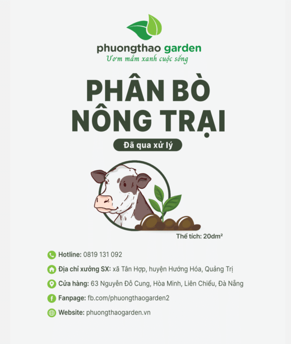 phân bò tại phương thảo garden