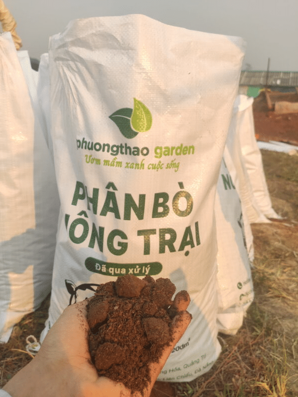 phân bò tại phương thảo garden