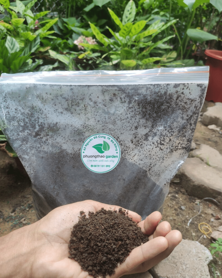 phân trùn quế tại phương thảo garden