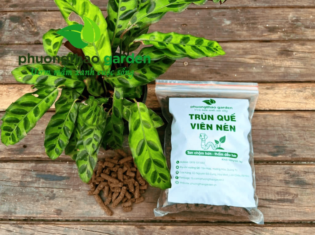 phân trùn quế viên nén tại phương thảo garden