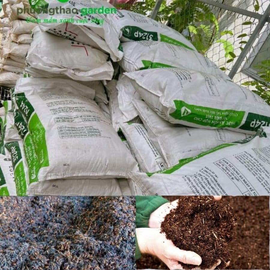 sản phẩm trấu hun tại phương thảo garden