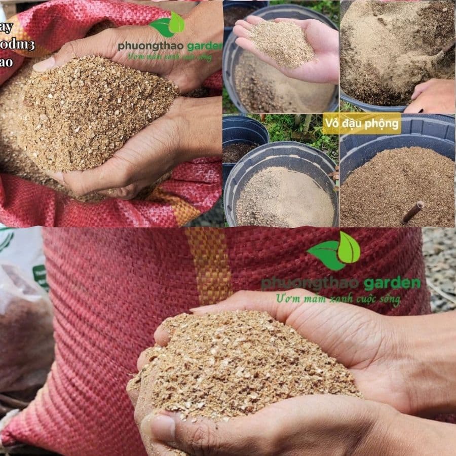 Vỏ đậu phộng tại phương thảo garden