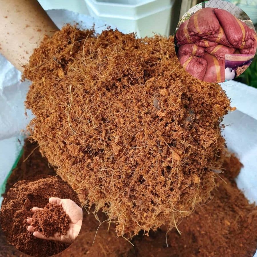 xơ dừa xay tại phương thảo garden