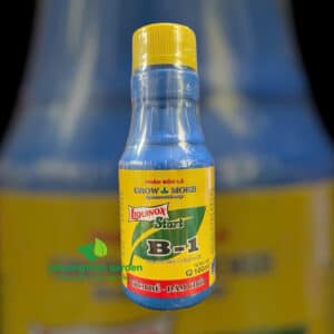 Phân bón lá B1 GROWMORE lọ 100ml – Kích rễ mạnh, dưỡng cây sau cắt tỉa